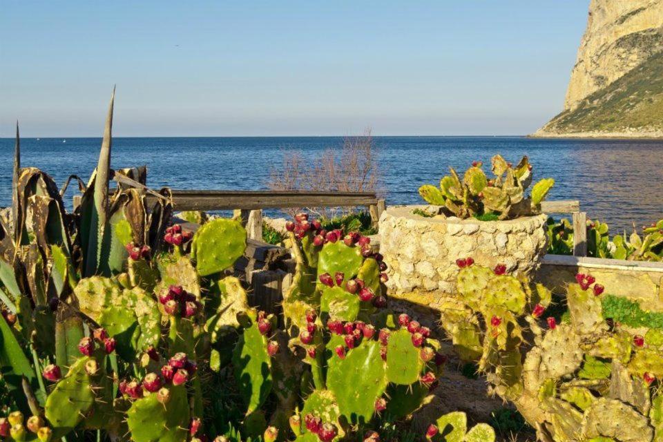 Holiday home Casetta Matotta, A - Palermo *